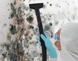 Best Comprehensive Air Testing for Mold Contaminants  in Highland Beach, FL